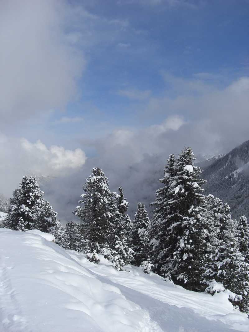 Skitour zur Lampsenspitze von Praxmar- im November 2010